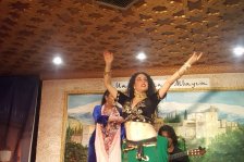 574 granada flamenco show